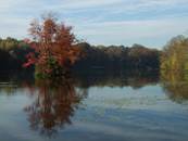 Etangs de Comelles automne