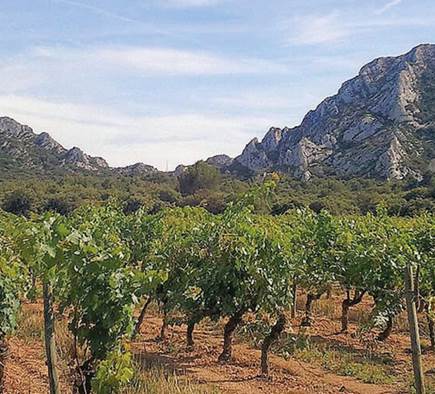 Mobilboard Saint Rémy de Provence