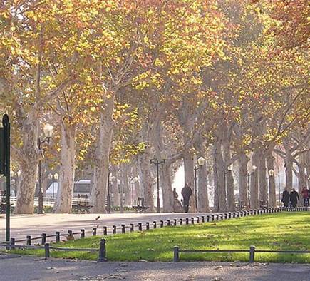 Mobilboard Montpellier 